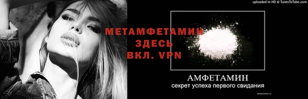 прущие грибы Балабаново