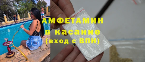 индика Аркадак