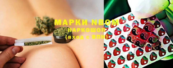 прущие грибы Балабаново