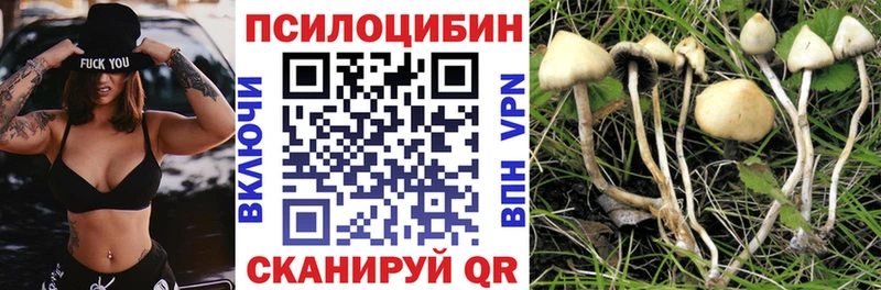 Псилоцибиновые грибы ЛСД  МЕГА зеркало  Инза 